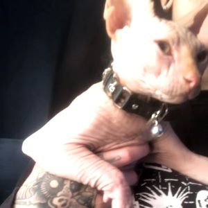 Meet your Posher, Elayne